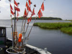 Zicker Hafen